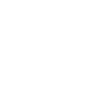 Web Component